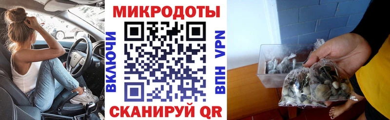 блэк спрут как войти  Шумерля  Псилоцибиновые грибы MAGIC MUSHROOMS  продажа наркотиков 