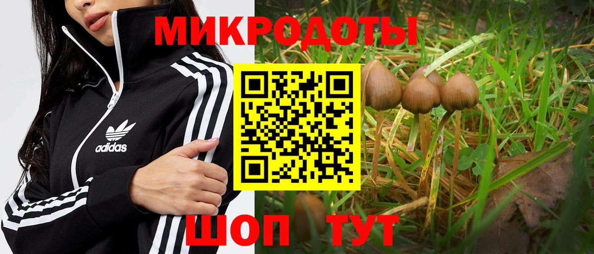 Псилоцибиновые грибы прущие грибы  Псилоцибиновые грибы MAGIC MUSHROOMS  Шумерля  Вход с VPN 