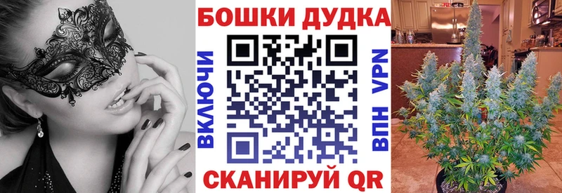 где купить наркоту  Шумерля  Каннабис сатива 